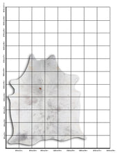 Įkelti vaizdą į galerijos rodinį, Pilkas karvės kailis XL