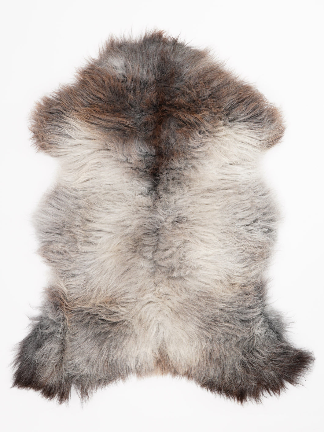 Įvairiaspalvis avikailis L