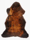 "Rusty" Įvairiaspalvis avikailis M