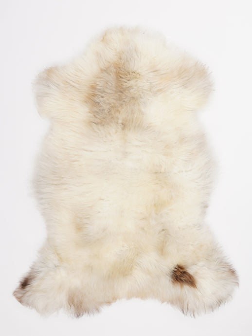 Įvairiaspalvis avikailis M