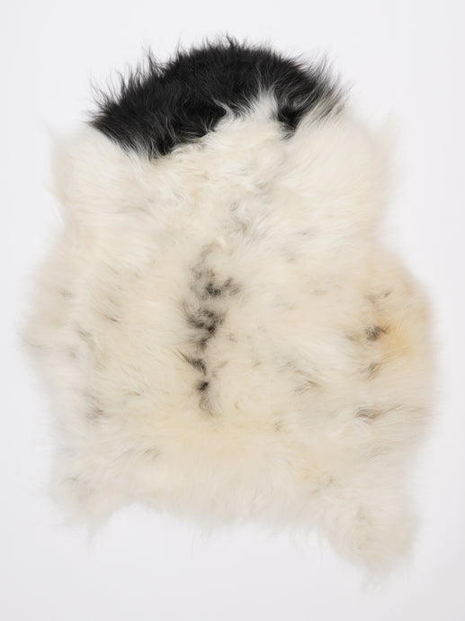 Islandiškas avikailis L