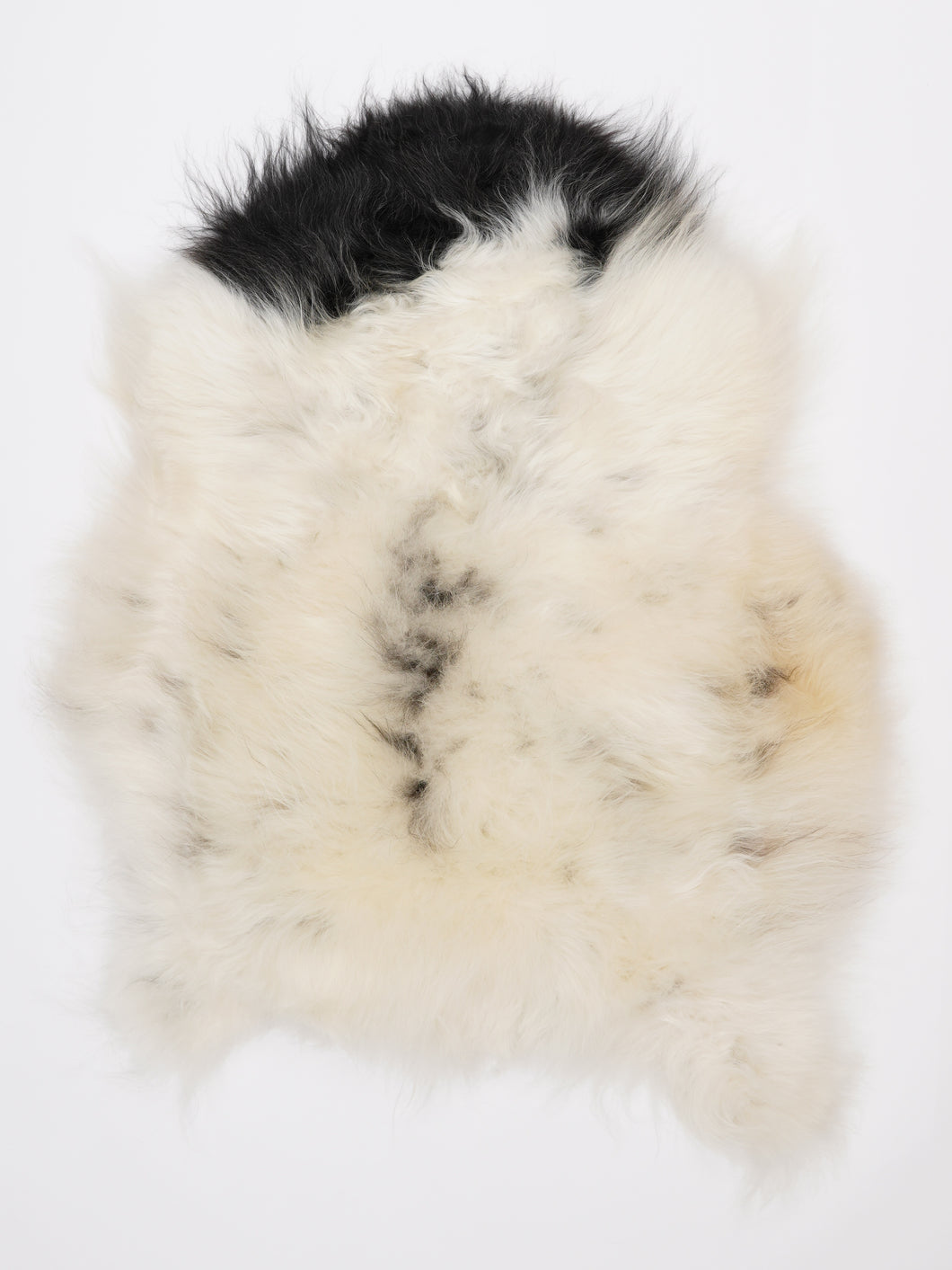 Islandiškas avikailis L