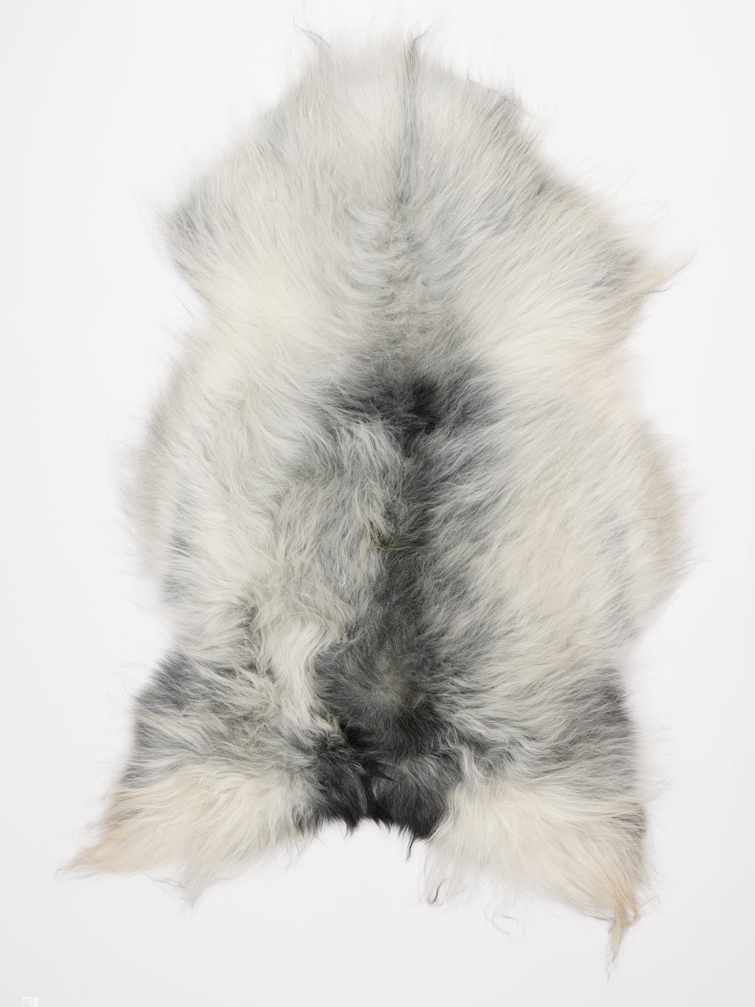 Islandiškas avikailis XL