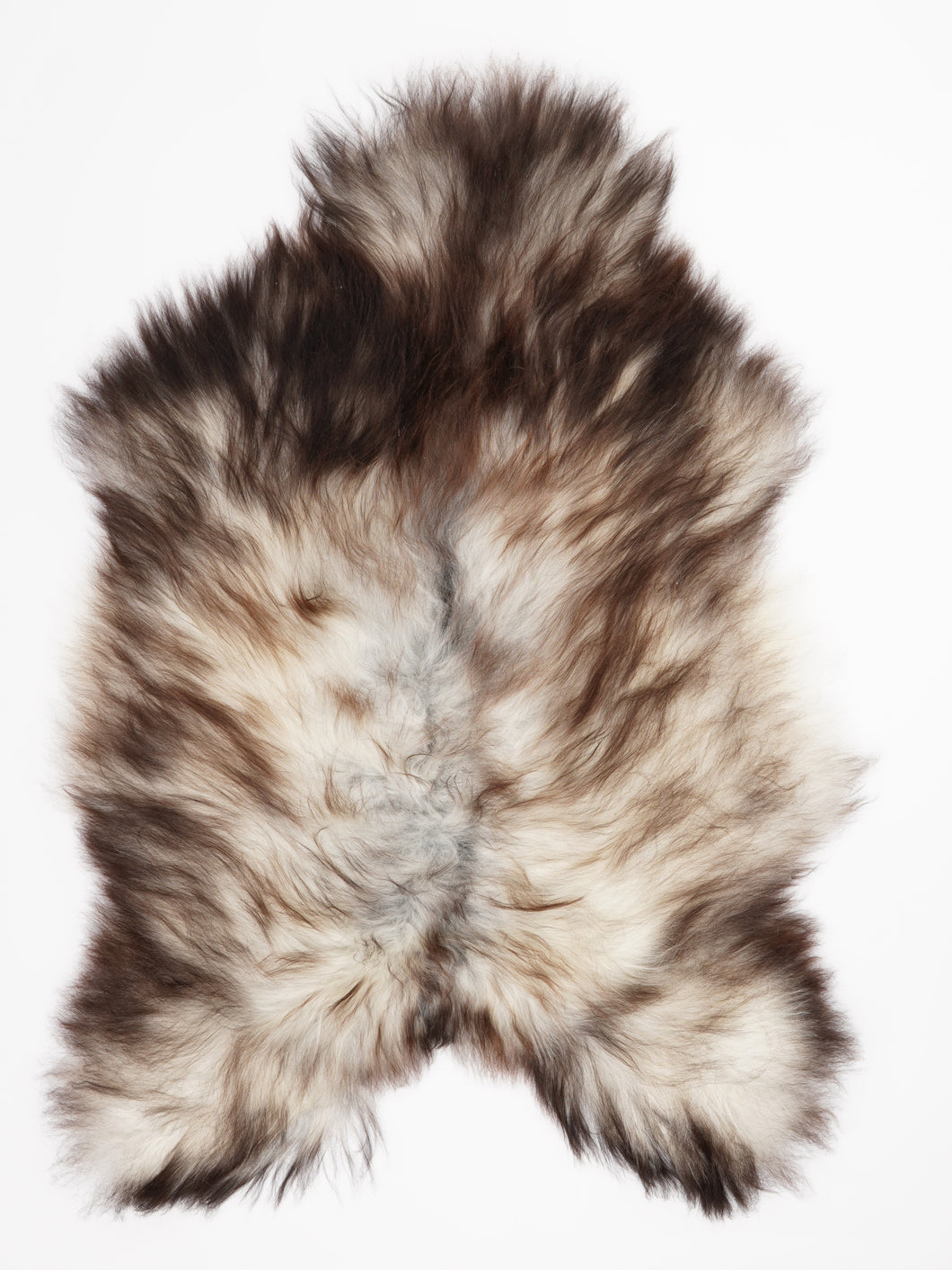 Pilkas islandiškas avikailis XXL