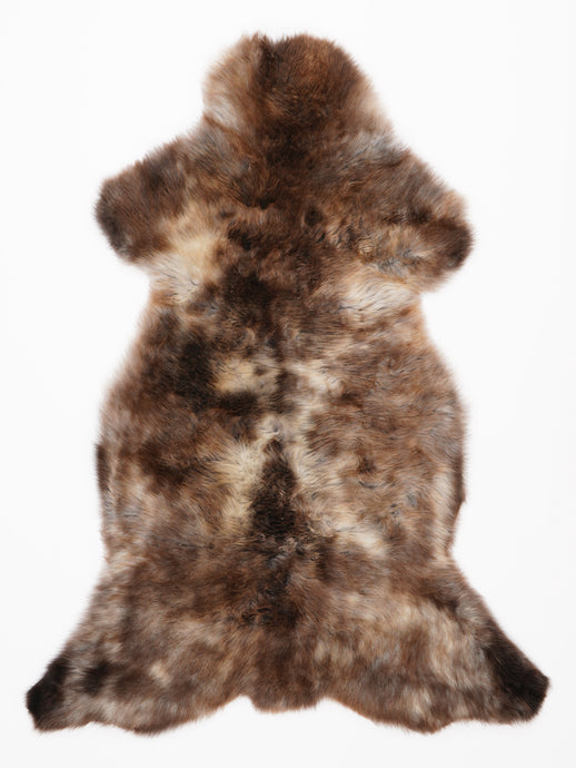 Įvairiaspalvis avikailis XL