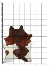 Įkelti vaizdą į galerijos rodinį, Rudas karvės kailis L
