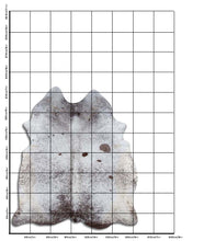Įkelti vaizdą į galerijos rodinį, Salt and Pepper egzotinis karvės kailis XL
