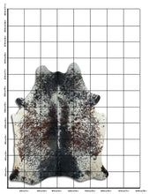 Įkelti vaizdą į galerijos rodinį, Salt and Pepper egzotinis karvės kailis XXL
