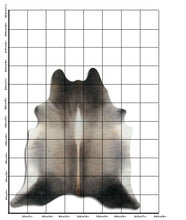 Įkelti vaizdą į galerijos rodinį, Pilkas karvės kailis XXL
