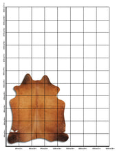 Įkelti vaizdą į galerijos rodinį, Rudas karvės kailis M
