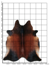 Įkelti vaizdą į galerijos rodinį, Rudas karvės kailis XXL
