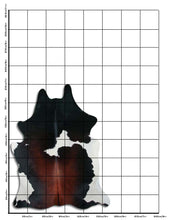 Įkelti vaizdą į galerijos rodinį, Trispalvis karvės kailis L
