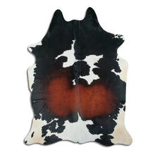 Įkelti vaizdą į galerijos rodinį, Trispalvis karvės kailis XXL
