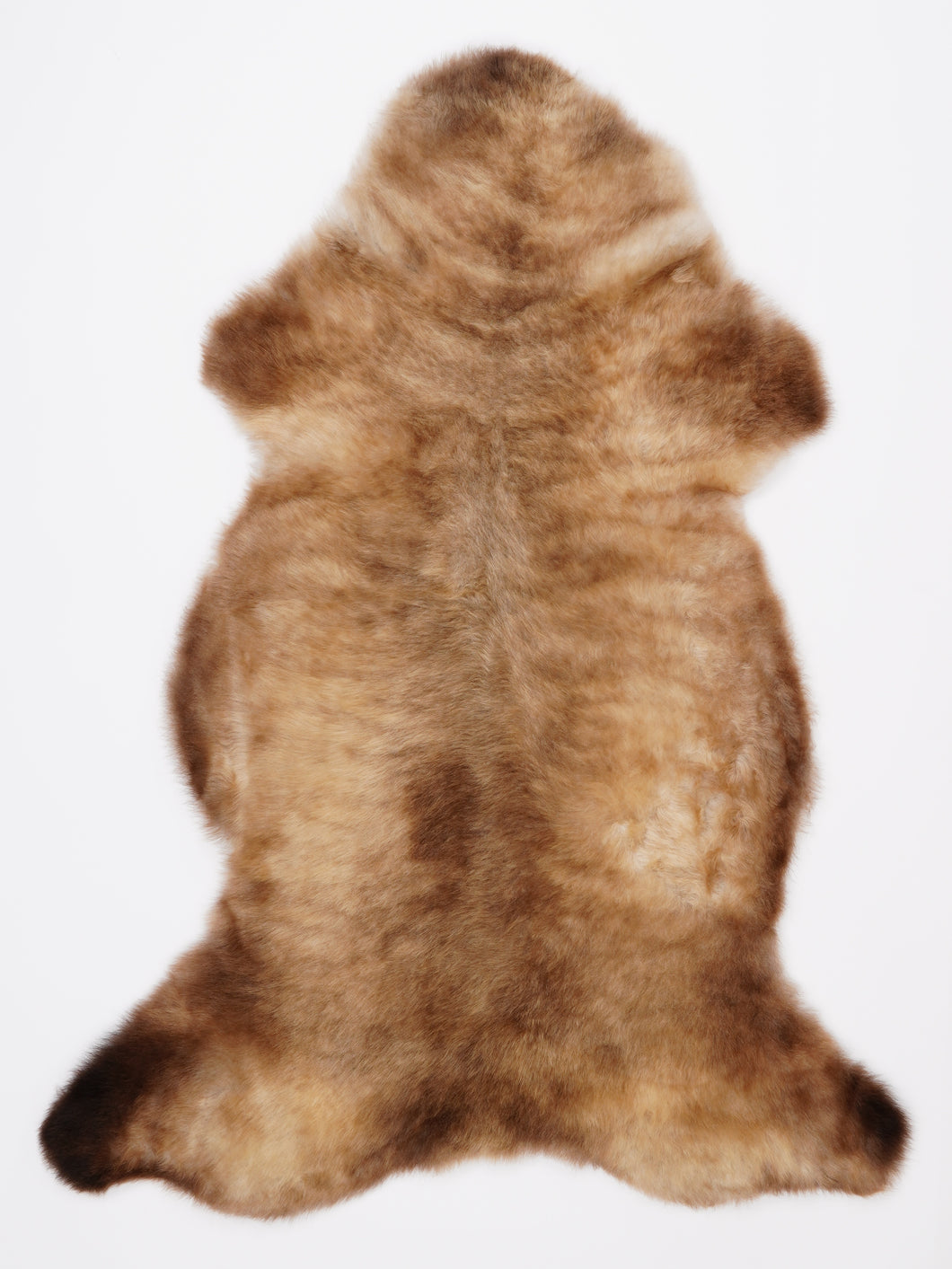 Įvairiaspalvis avikailis XL