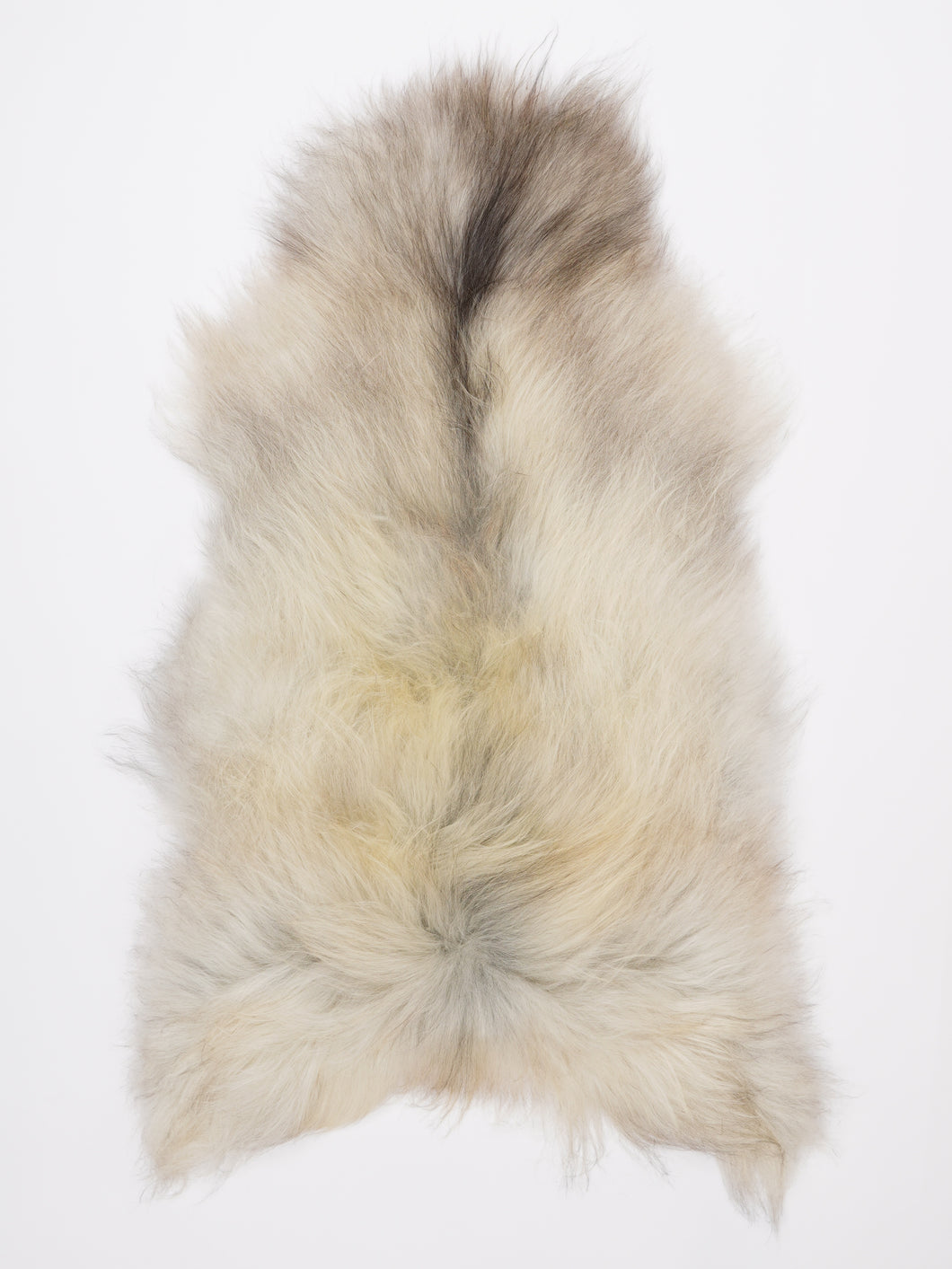 Islandiškas avikailis XL