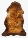 "Rusty" Įvairiaspalvis avikailis M