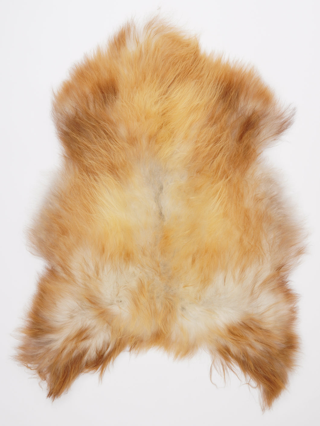 Islandiškas avikailis L