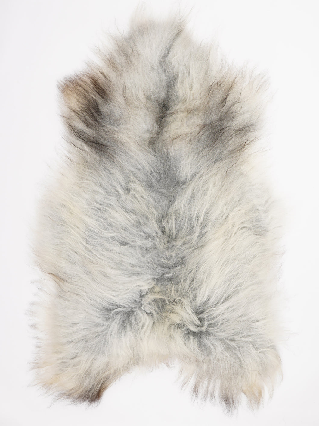 Islandiškas avikailis XXL