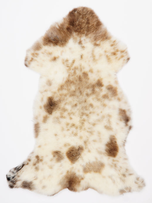 Įvairiaspalvis avikailis L