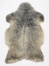 Gotlando avikailis XL