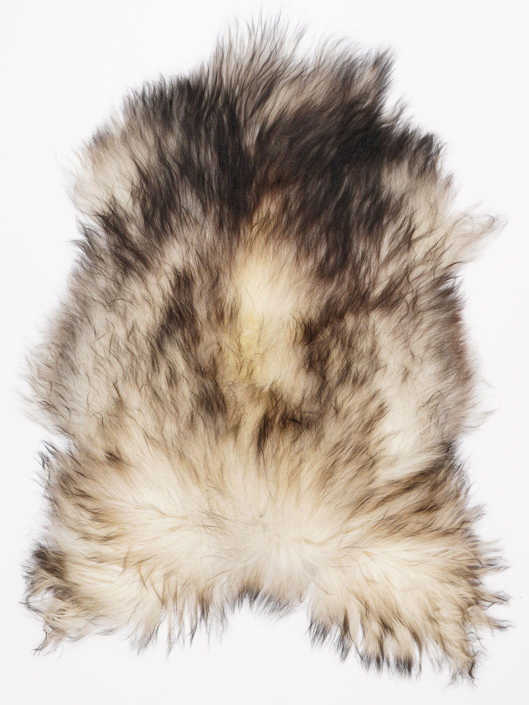 Pilkas islandiškas avikailis L