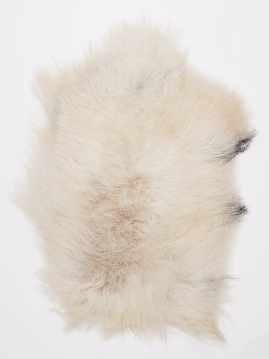 Islandiškas avikailis M