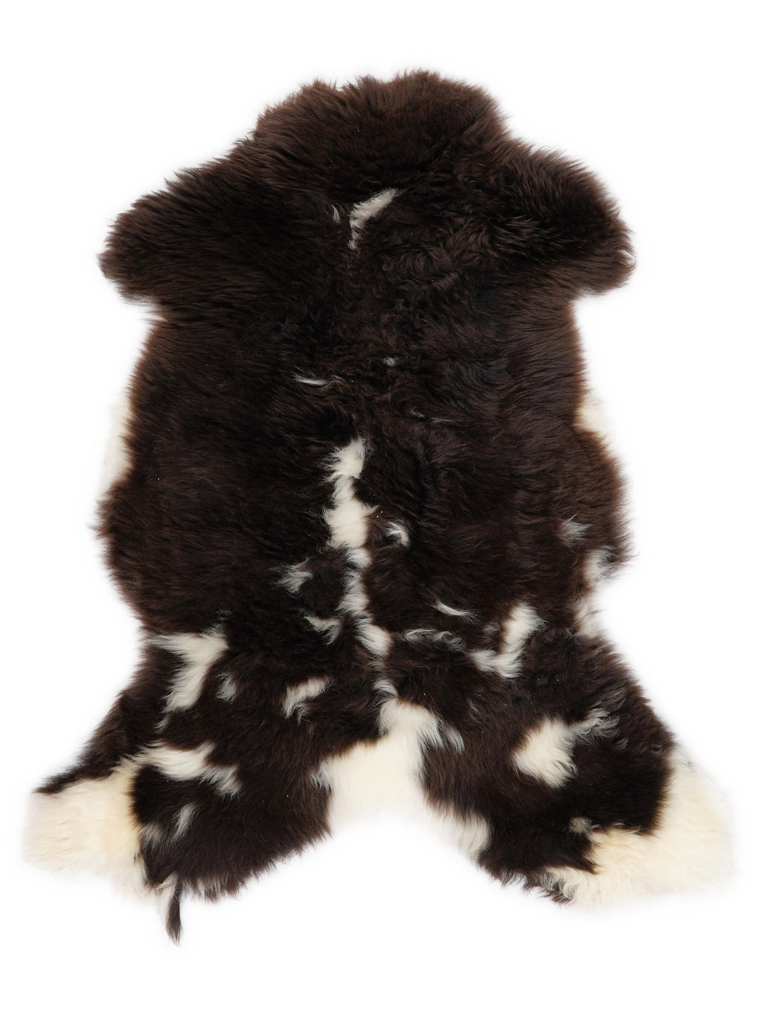 Įvairiaspalvis avikailis M