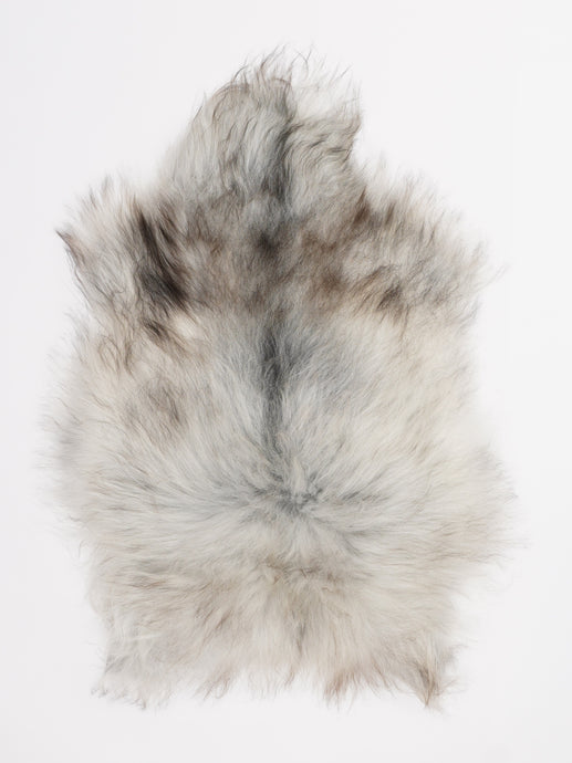 Islandiškas avikailis S