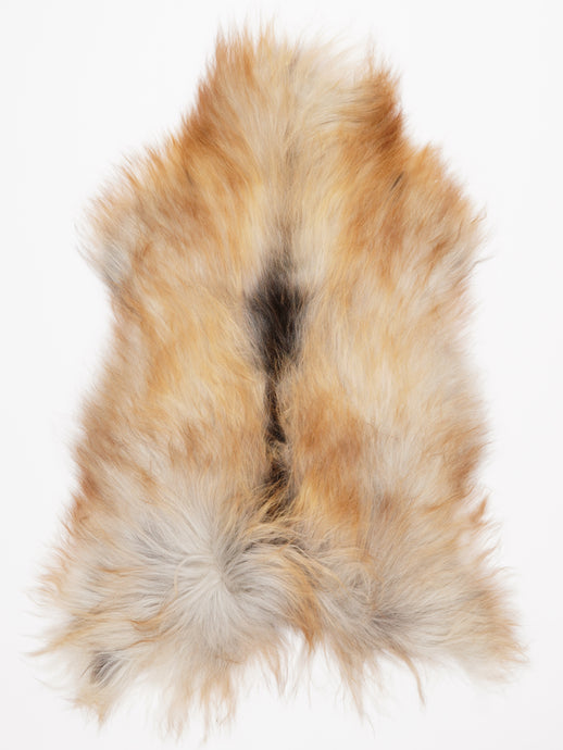 Islandiškas avikailis L