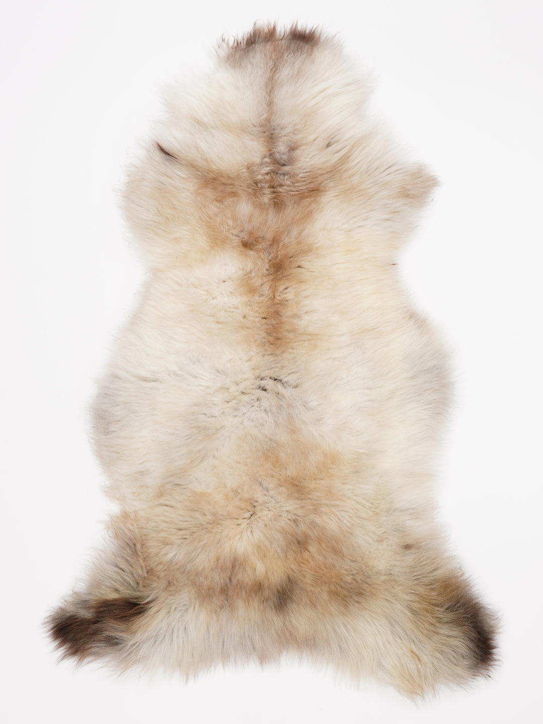 Įvairiaspalvis avikailis XL