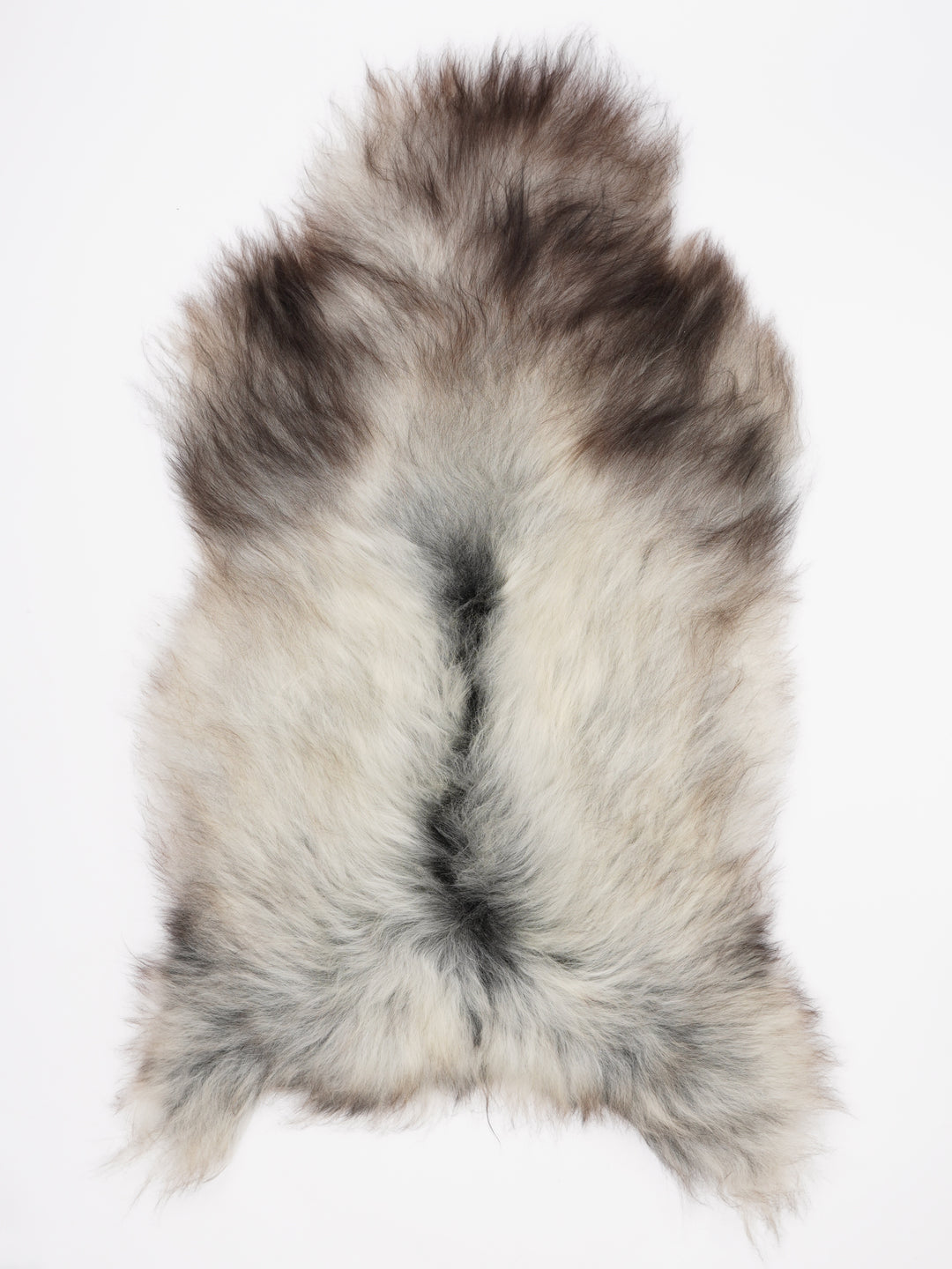 Pilkas islandiškas avikailis XXL