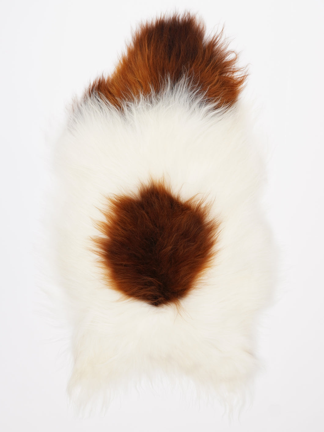 B klasės islandiškas avikailis L