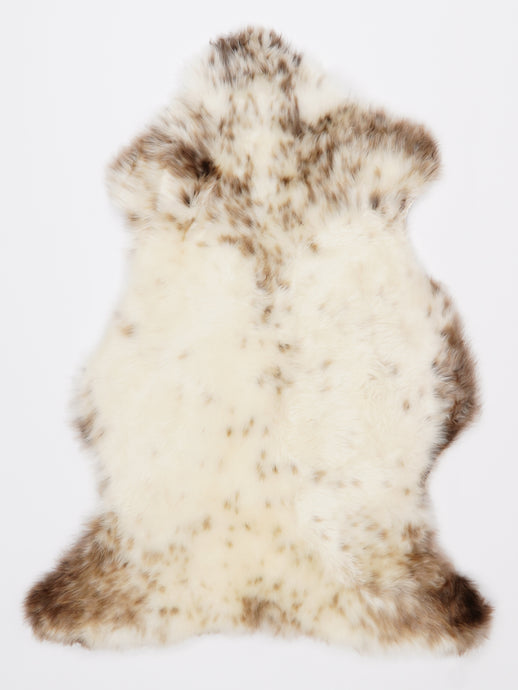 Įvairiaspalvis avikailis M