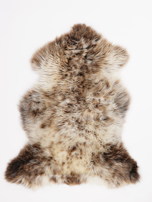 Įvairiaspalvis avikailis M