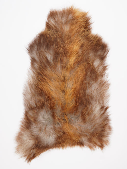 Islandiškas avikailis XXL