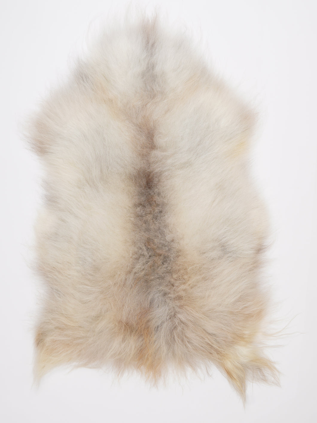 Islandiškas avikailis XL