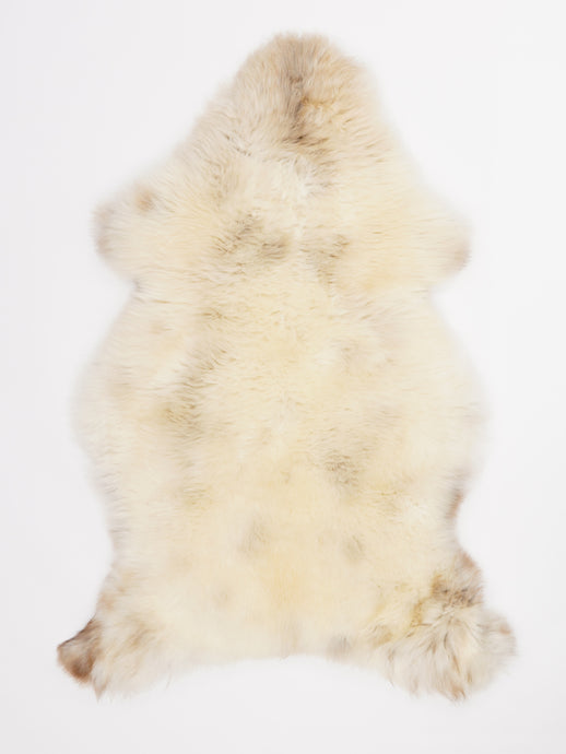 Įvairiaspalvis avikailis M