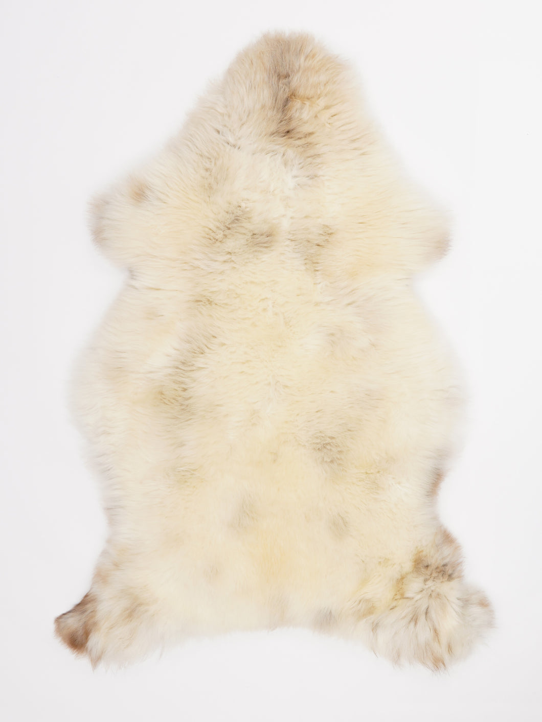 Įvairiaspalvis avikailis M