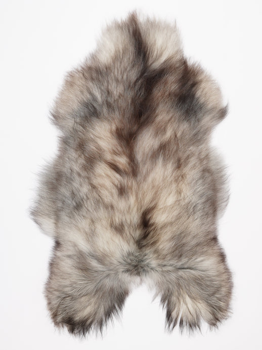 Pilkas islandiškas avikailis XL