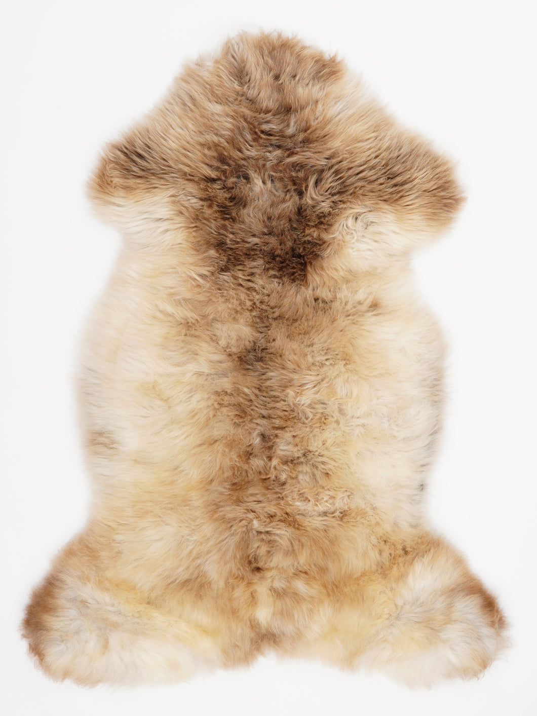 Įvairiaspalvis avikailis L