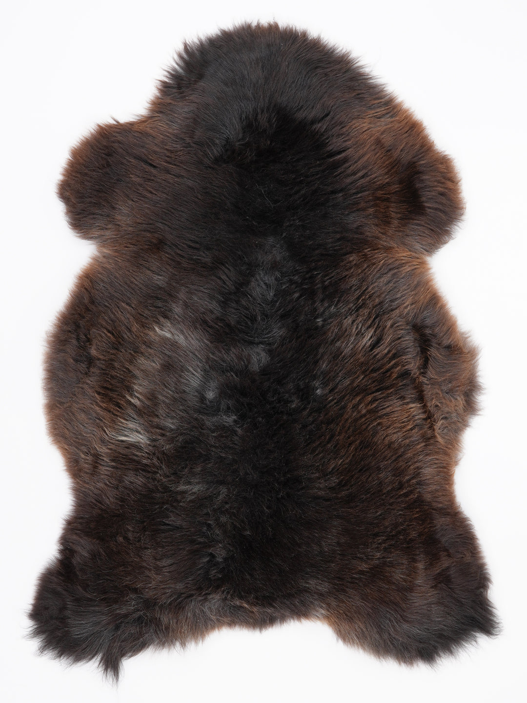 Įvairiaspalvis avikailis L