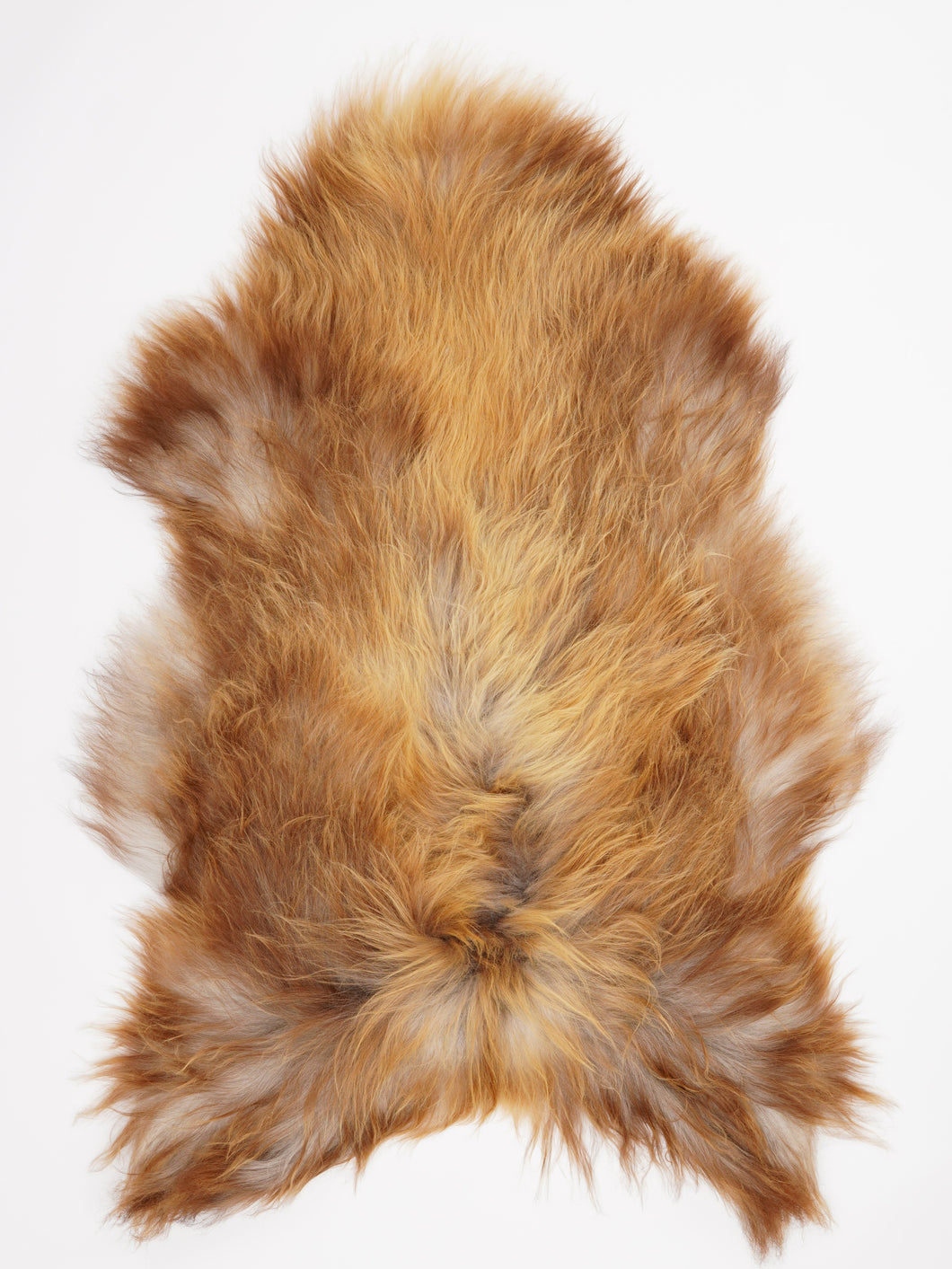 Islandiškas avikailis XXL