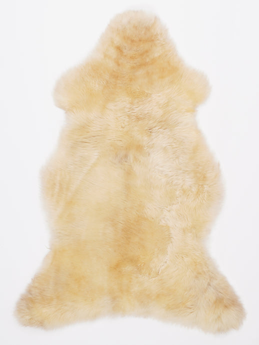 Įvairiaspalvis avikailis L