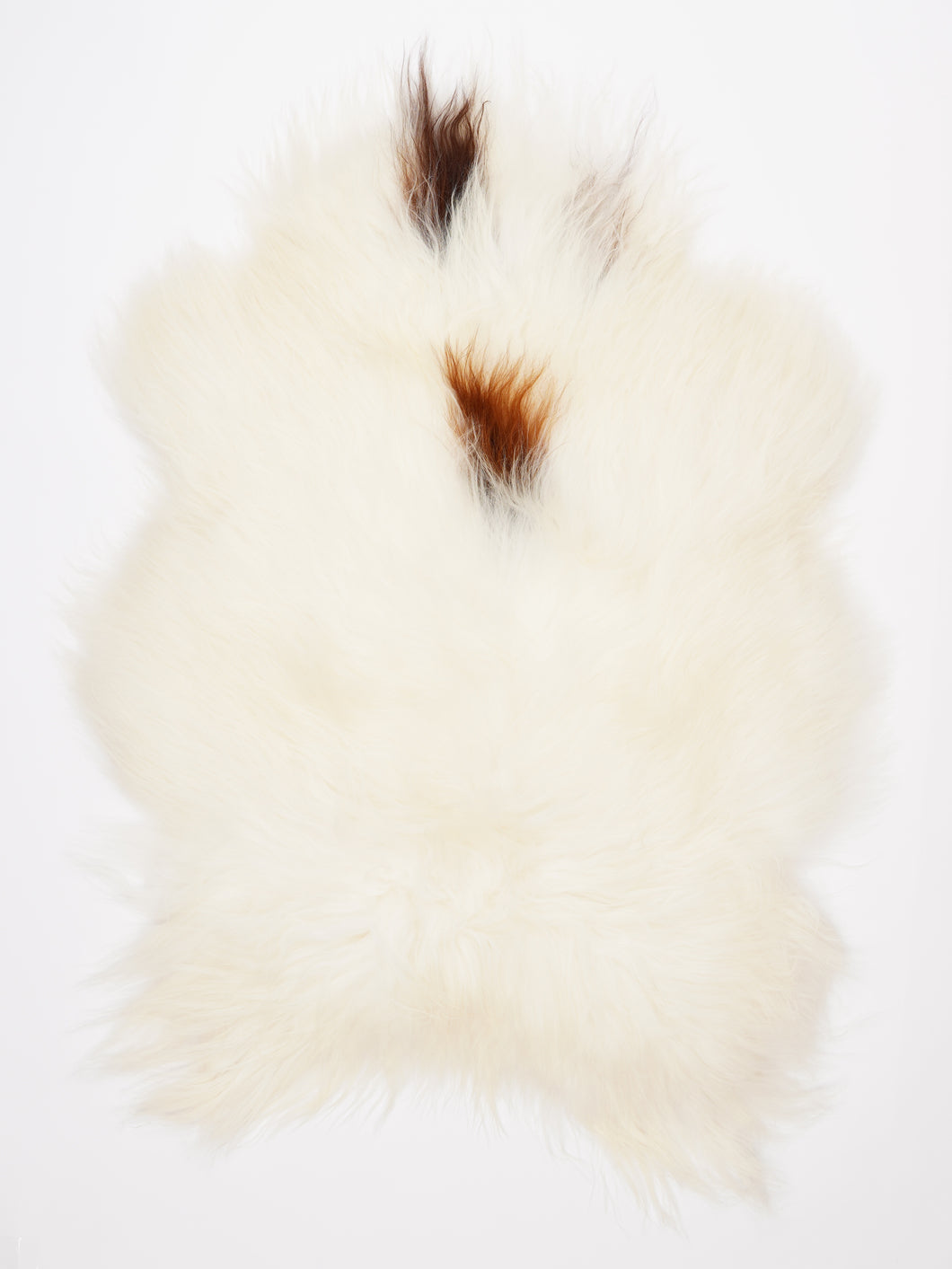 Islandiškas avikailis XL