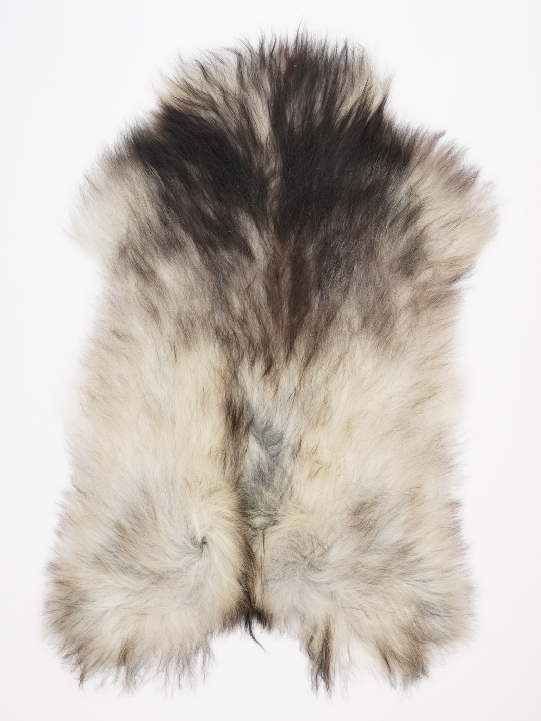 Pilkas islandiškas avikailis XXL