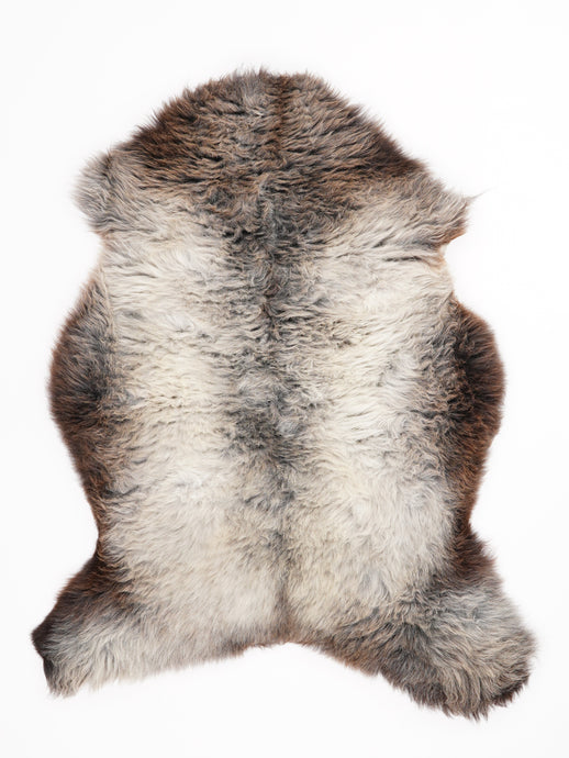 Įvairiaspalvis avikailis L