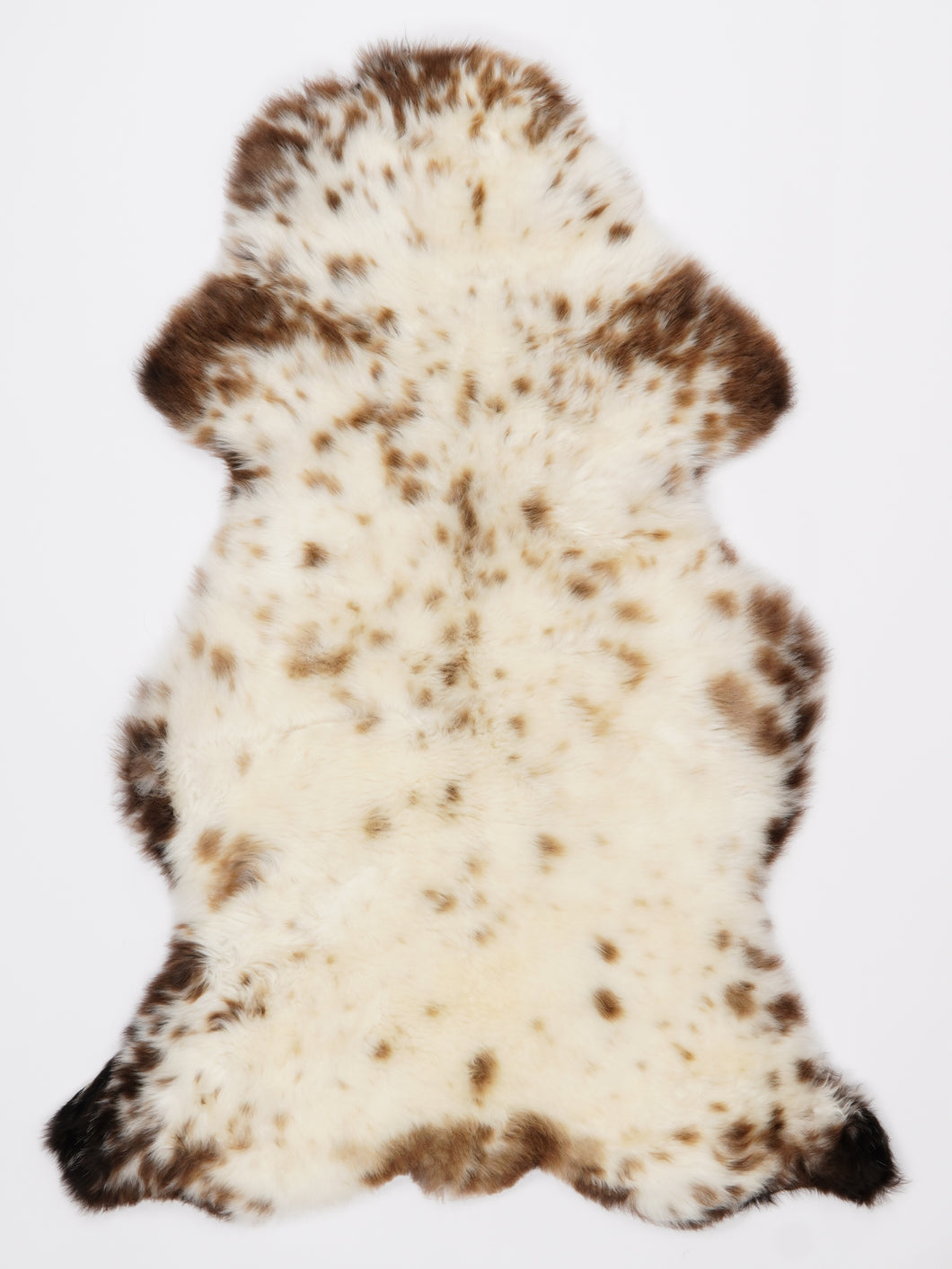 Įvairiaspalvis avikailis L