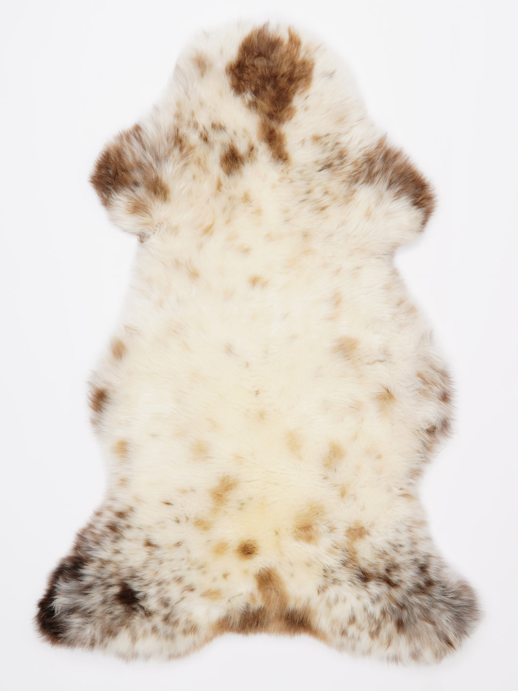 Įvairiaspalvis avikailis L