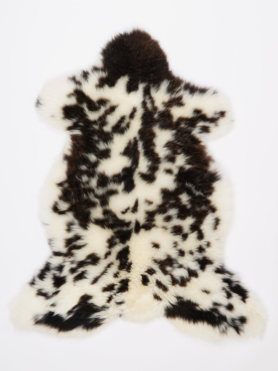 Įvairiaspalvis avikailis L