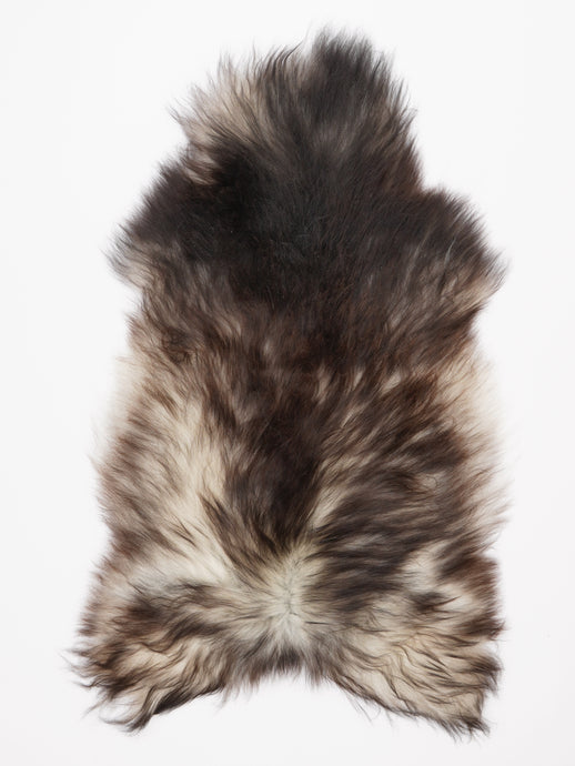 Pilkas islandiškas avikailis L